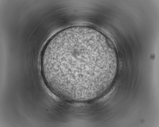 X0000095520843200801111434