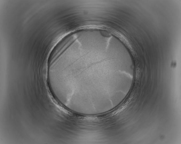 X0000095520844200801111434