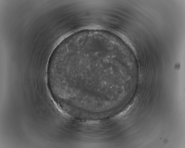 X0000095520845200801111434