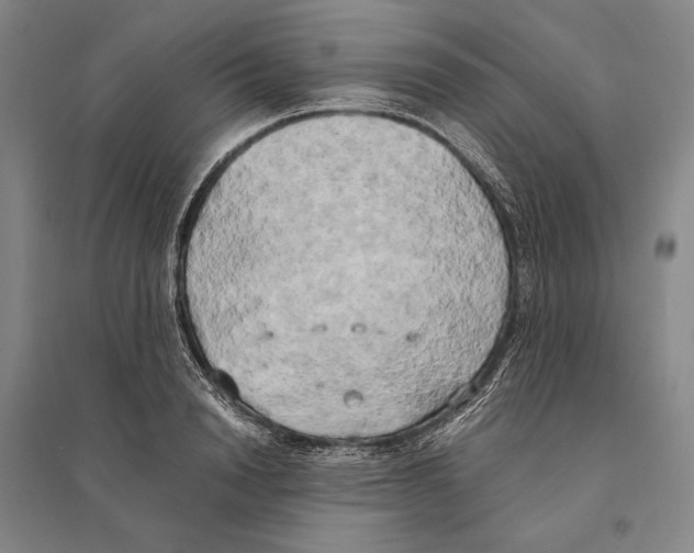 X0000095520846200801111434