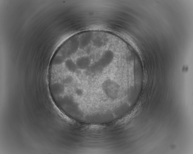 X0000095520847200801111434