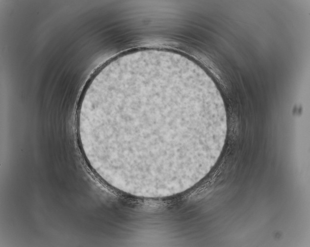 X0000095520848200801111434