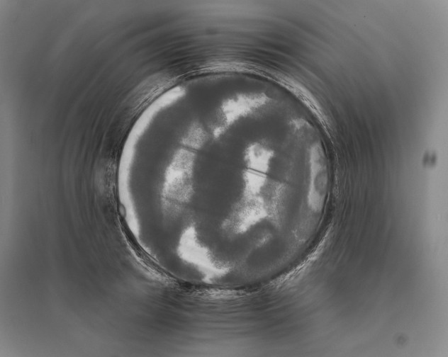 X0000095520849200801111434