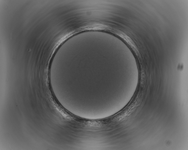 X0000095520850200801111434