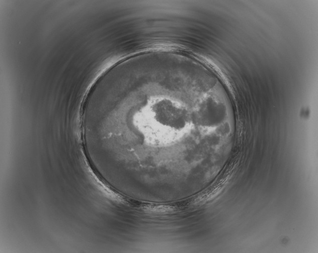 X0000095520851200801111434