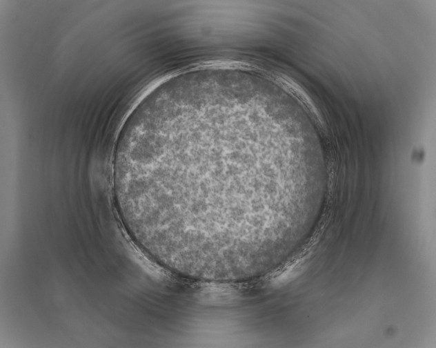 X0000095520852200801111434