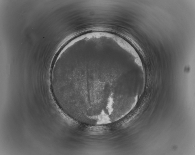 X0000095520853200801111434