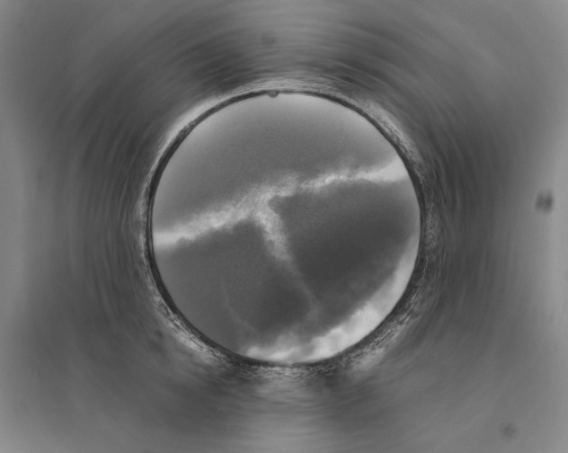 X0000095520854200801111434