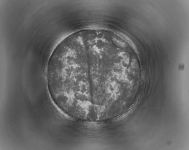 X0000095520855200801111434