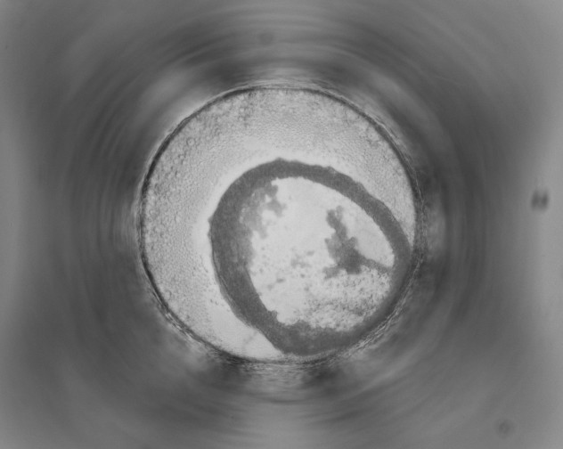 X0000095520856200801111434