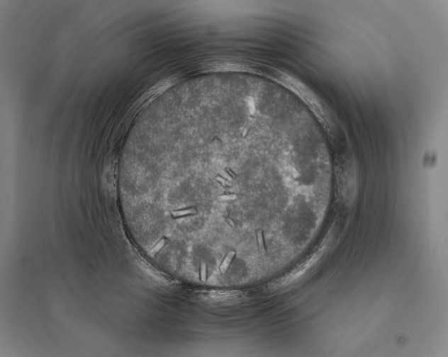 X0000095520857200801111434