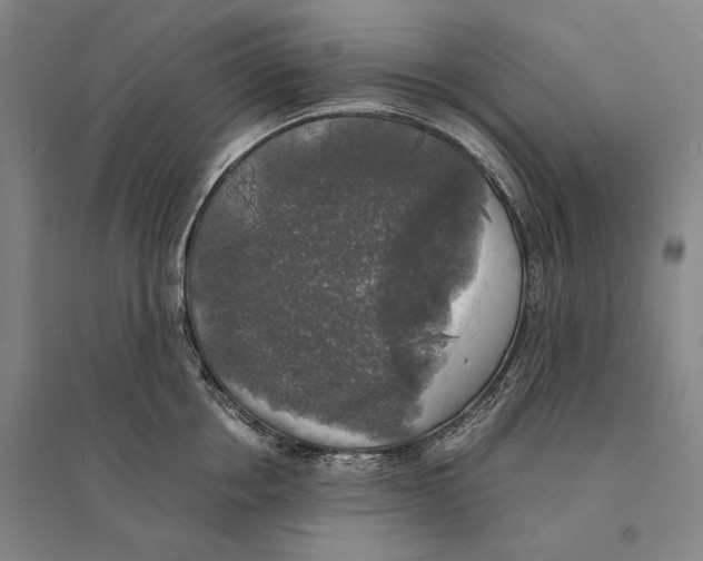 X0000095520858200801111434