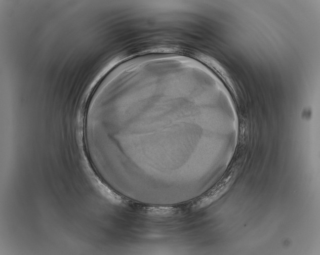 X0000095520859200801111434