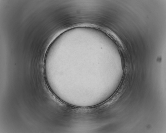 X0000095520860200801111434