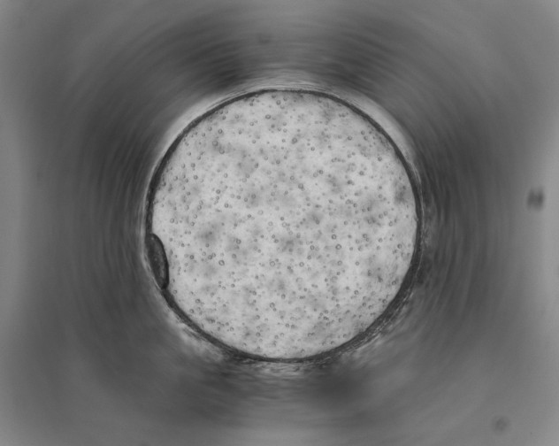 X0000095520861200801111434