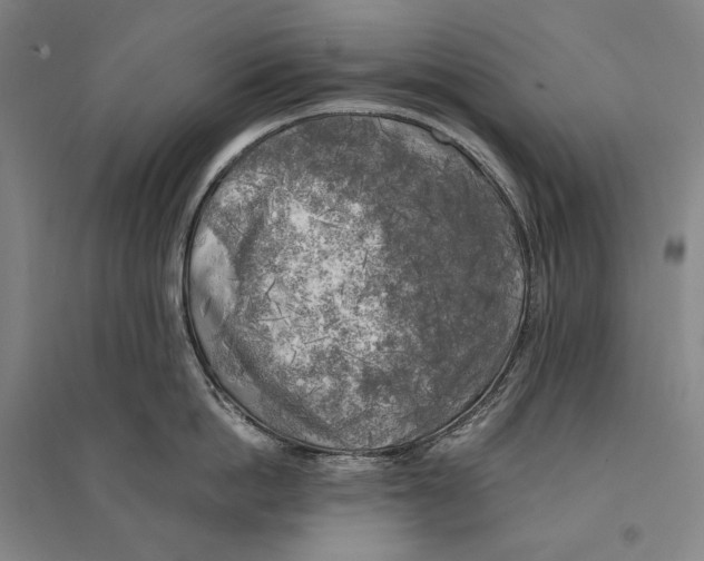 X0000095520862200801111434