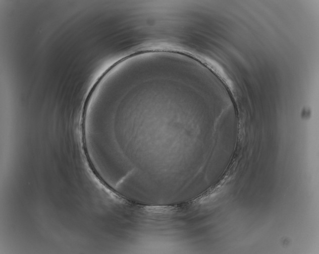 X0000095520863200801111434