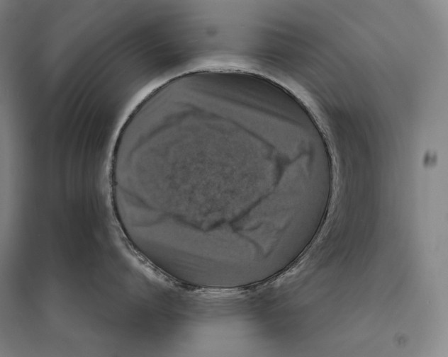 X0000095520864200801111434