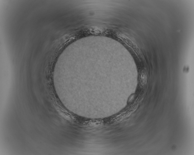 X0000095520865200801111434