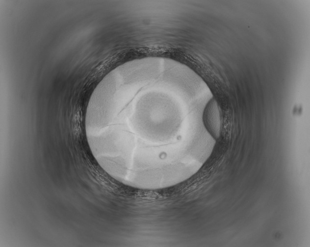 X0000095520866200801111434