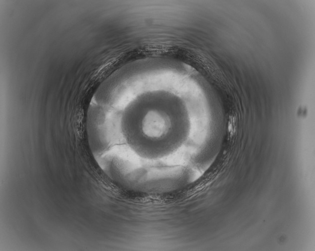 X0000095520867200801111434