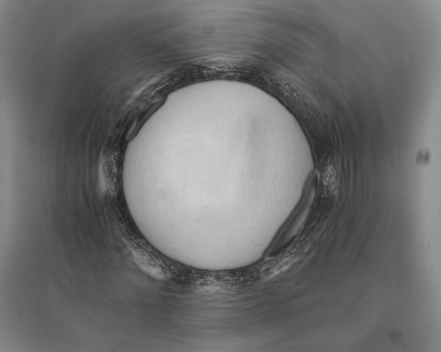 X0000095520868200801111434