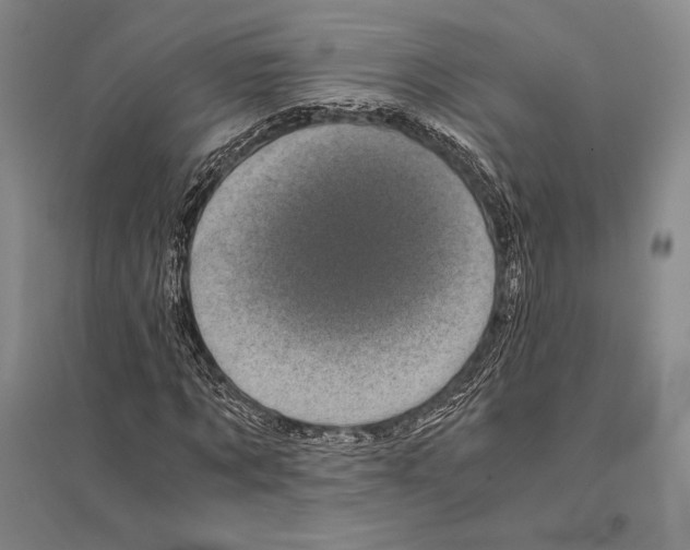 X0000095520869200801111434