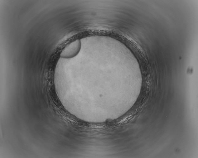 X0000095520870200801111434