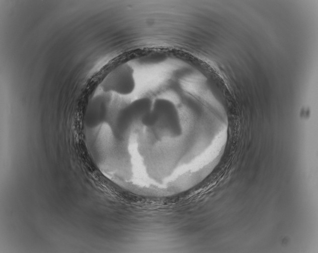 X0000095520871200801111434