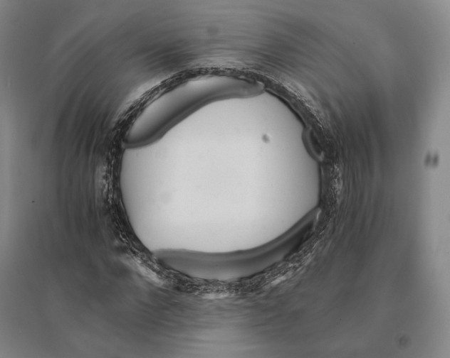 X0000095520872200801111434