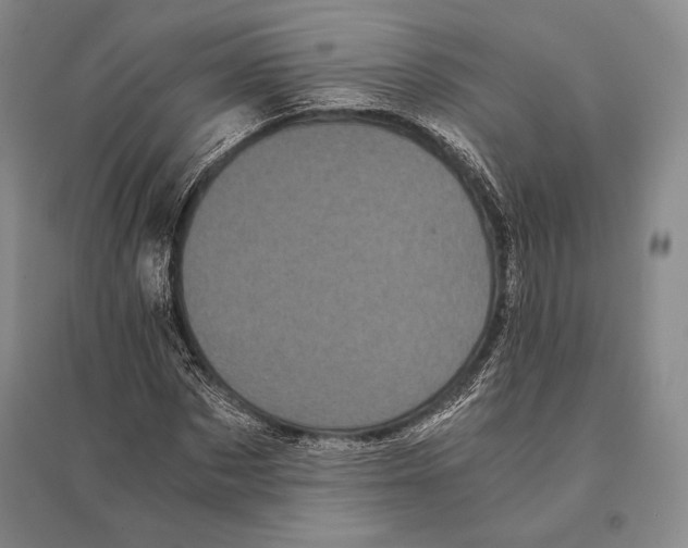 X0000095520873200801111434