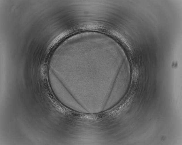 X0000095520874200801111434