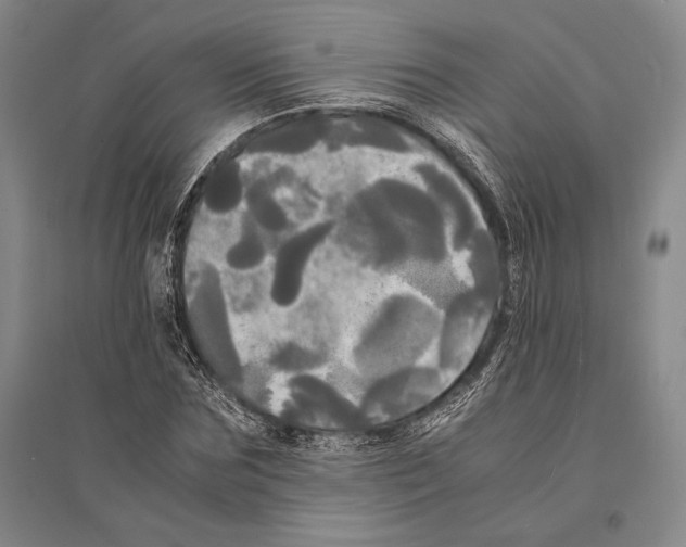 X0000095520875200801111434