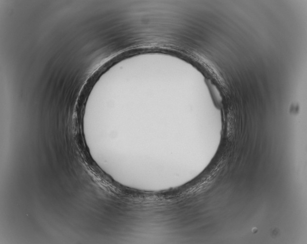 X0000095520876200801111434