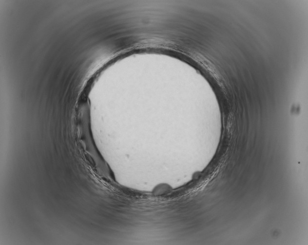 X0000095520877200801111434