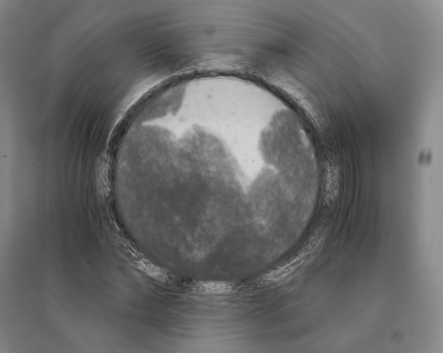 X0000095520878200801111434