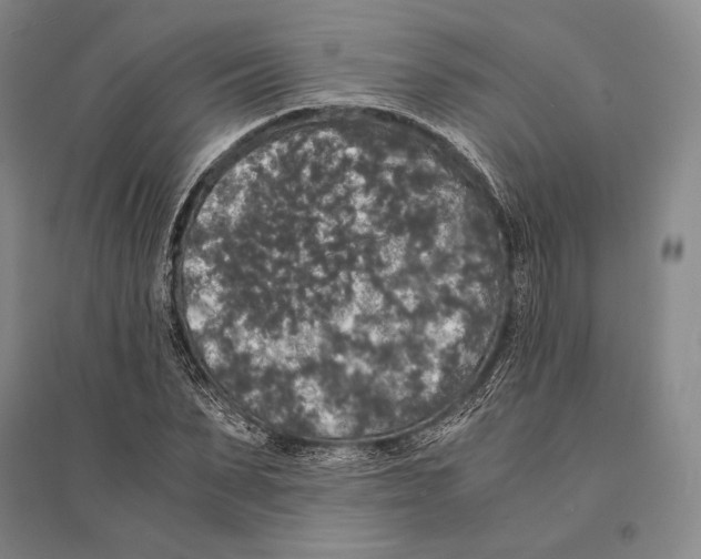 X0000095520879200801111434