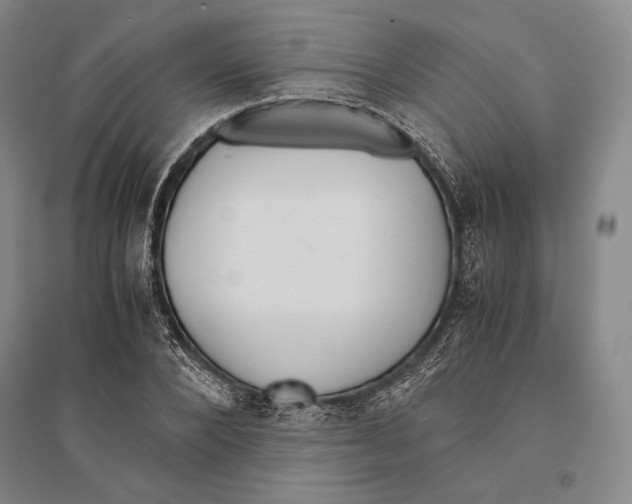 X0000095520880200801111434