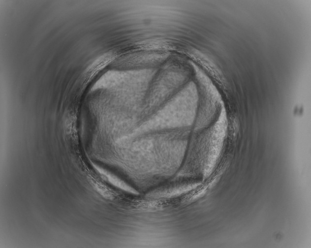 X0000095520881200801111434