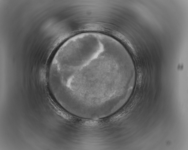 X0000095520882200801111434