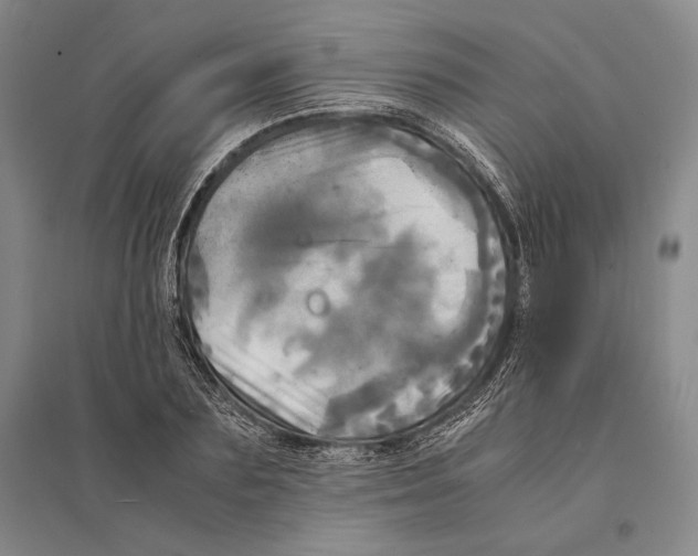 X0000095520883200801111434