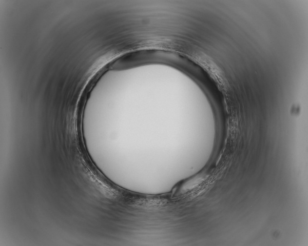 X0000095520884200801111434