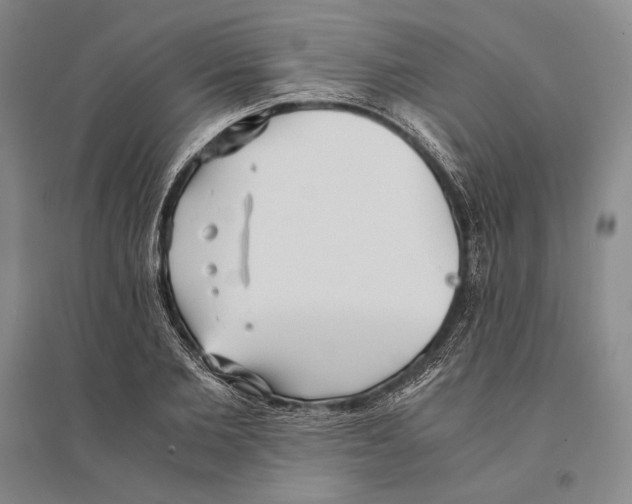 X0000095520885200801111434