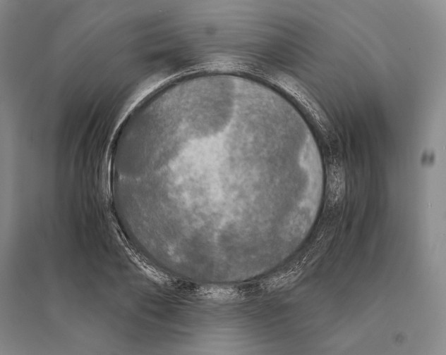 X0000095520886200801111434