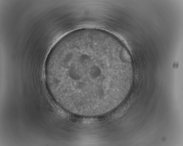 X0000095520887200801111433