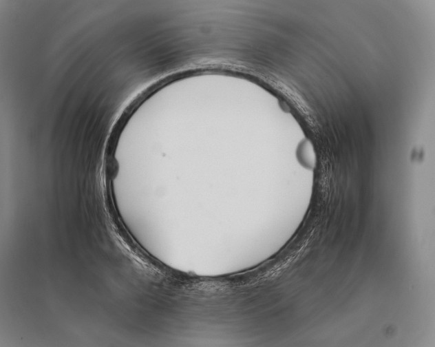 X0000095520888200801111433