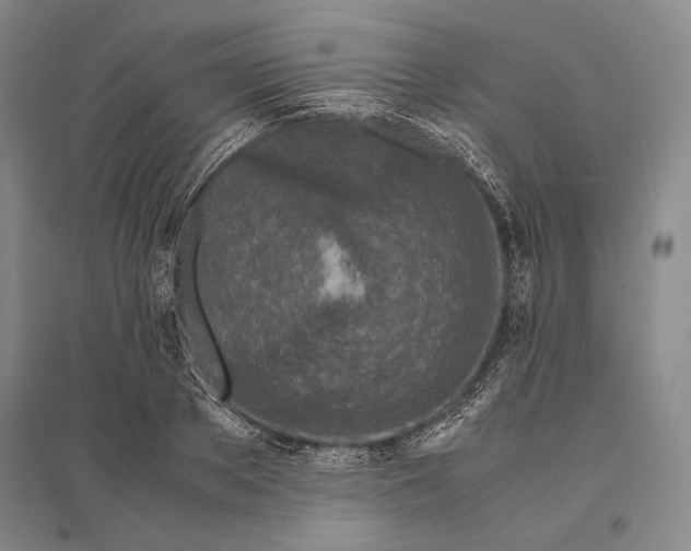 X0000095520889200801111433