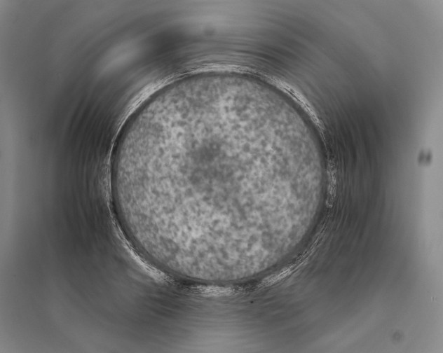 X0000095520890200801111433