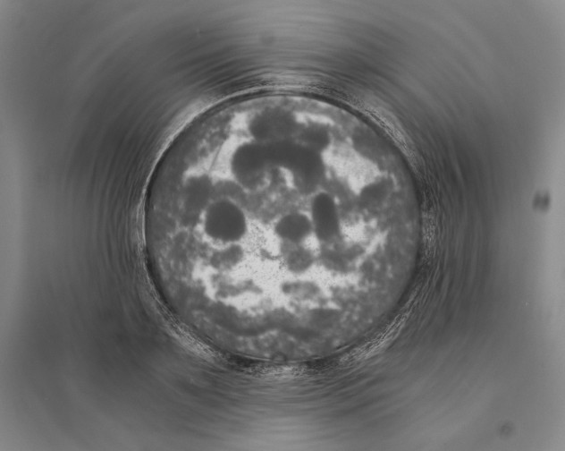 X0000095520891200801111433