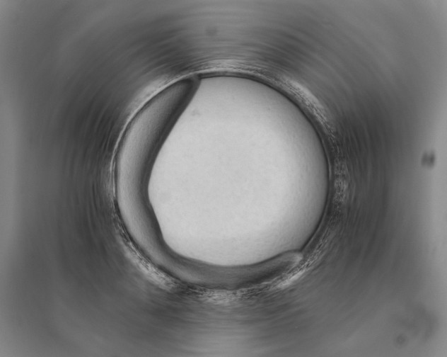 X0000095520892200801111433